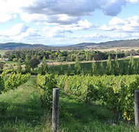 Sassy Wines - Maitland Accommodation