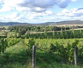 Sassy Wines - Maitland Accommodation 0