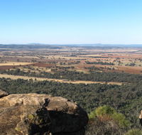 Basin Gully to Eualdrie lookout track - Maitland Accommodation