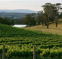 Granite Hills Winery - Maitland Accommodation