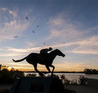 Black Caviar Statue - Maitland Accommodation