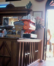 Cactus Cafe And Gallery - Maitland Accommodation 1