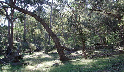 Mount Nangar Walking Track - Maitland Accommodation 1