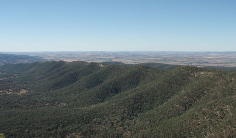 Mount Nangar Walking Track - Maitland Accommodation 2