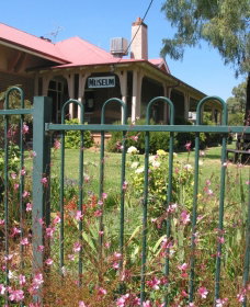 Dunedoo Local Museum - Maitland Accommodation 0