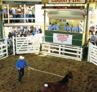 Gracemere Exhibition Complex - Maitland Accommodation