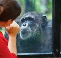 The Rockhampton Zoo - Maitland Accommodation