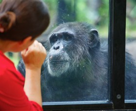 The Rockhampton Zoo - Maitland Accommodation 0