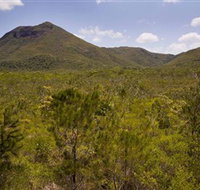 Kutini-Payamu Iron Range National Park CYPAL - Maitland Accommodation