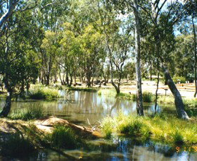 Wirraminna Environmental Education Centre - Maitland Accommodation 2