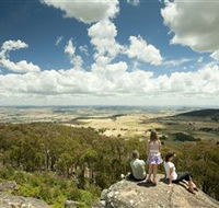 Mt Wombat lookout - Maitland Accommodation