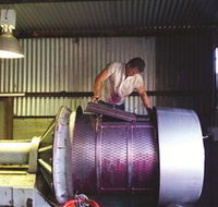 Orange Mountain Wines - Maitland Accommodation