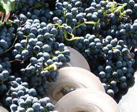 Orange Mountain Wines - Maitland Accommodation 2