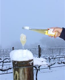 Orange Mountain Wines - Maitland Accommodation 1