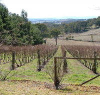 Habitat Vineyard - Maitland Accommodation