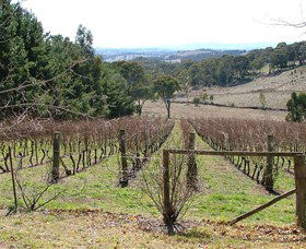 Habitat Vineyard - Maitland Accommodation 0
