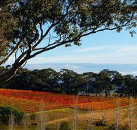 Bloodwood Estate - Maitland Accommodation