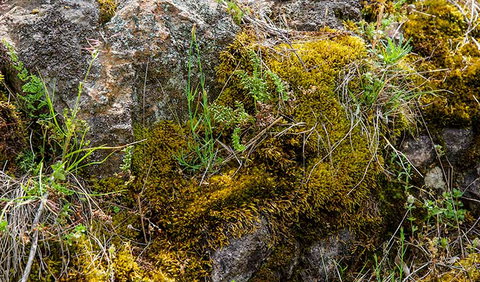 Hopetoun Falls Walking Track - Maitland Accommodation 2