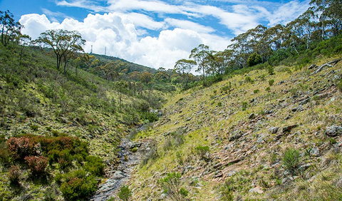 Hopetoun Falls Walking Track - Maitland Accommodation 3