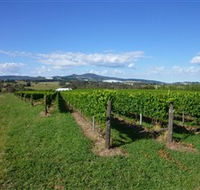Hedberg Hill Wines - Maitland Accommodation