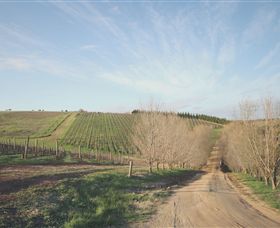 Austins & Co. - Maitland Accommodation 0