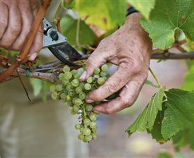 Austins & Co. - Maitland Accommodation 1