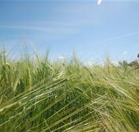 150 Degrees East Meridian - Maitland Accommodation