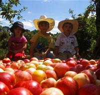 Bonny Glen Fruits - Maitland Accommodation
