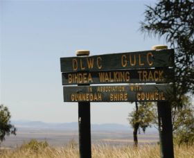 Bindea Walking Track - Maitland Accommodation 0