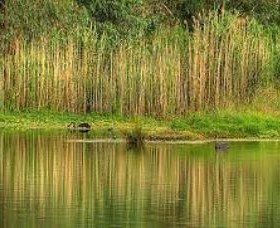 Wonga Wetlands - Maitland Accommodation 2