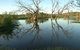 Wonga Wetlands - thumb 4