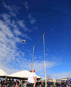 Amulet Vineyard And Beechworth Cider - Maitland Accommodation 6