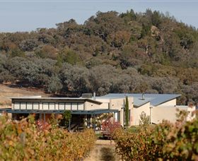 Amulet Vineyard And Beechworth Cider - Maitland Accommodation 8