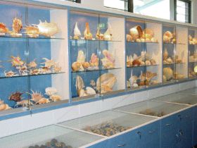 Shell World Yeppoon - Maitland Accommodation 1