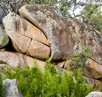 Frog Rock - Maitland Accommodation