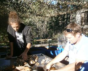 Three Creeks Tourist Gold Mine - Maitland Accommodation 1