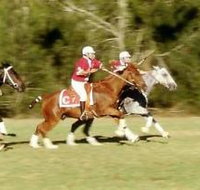 Morgan Park Warwick - Maitland Accommodation