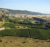 Lerida Estate Winery and Restaurant - Maitland Accommodation