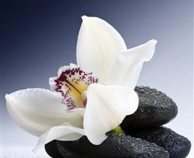 H2O Spa - Maitland Accommodation 1