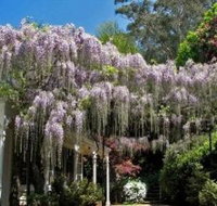 Nooroo Gardens