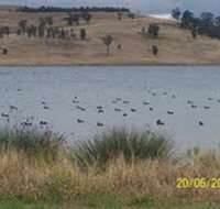 Lake Liddell Recreation Area - Maitland Accommodation