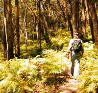 Federal Pass - Maitland Accommodation