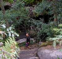 Leura Cascades Fern Bower - Maitland Accommodation