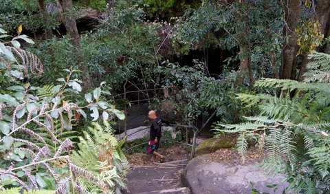 Leura Cascades Fern Bower - Maitland Accommodation 0