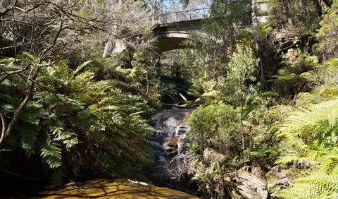 Leura Cascades Fern Bower - Maitland Accommodation 3