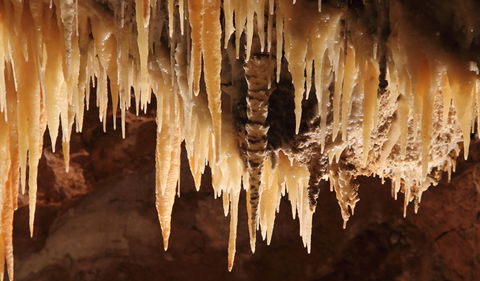 Wollondilly Cave - Maitland Accommodation 1