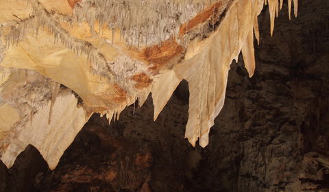 Wollondilly Cave - Maitland Accommodation 3