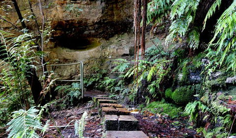Gordon Falls Lookout And Picnic Area - Maitland Accommodation 2