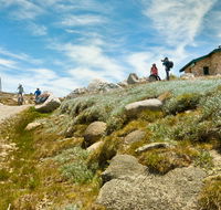 Mount Kosciuszko Summit walk - Maitland Accommodation