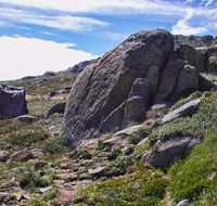 Mount Stillwell walk - Maitland Accommodation